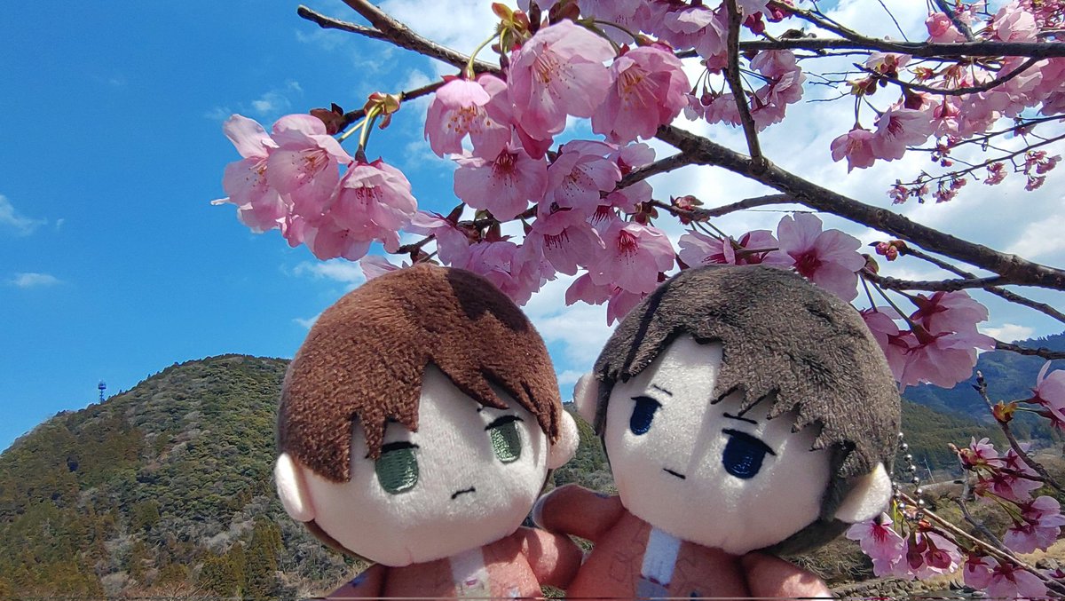 良い天気で、今年初めての桜がとても綺麗な日でした🌸