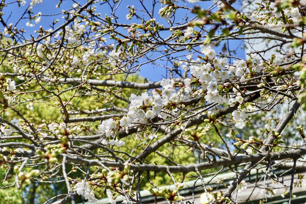 御朱印・神社メモ tweet media