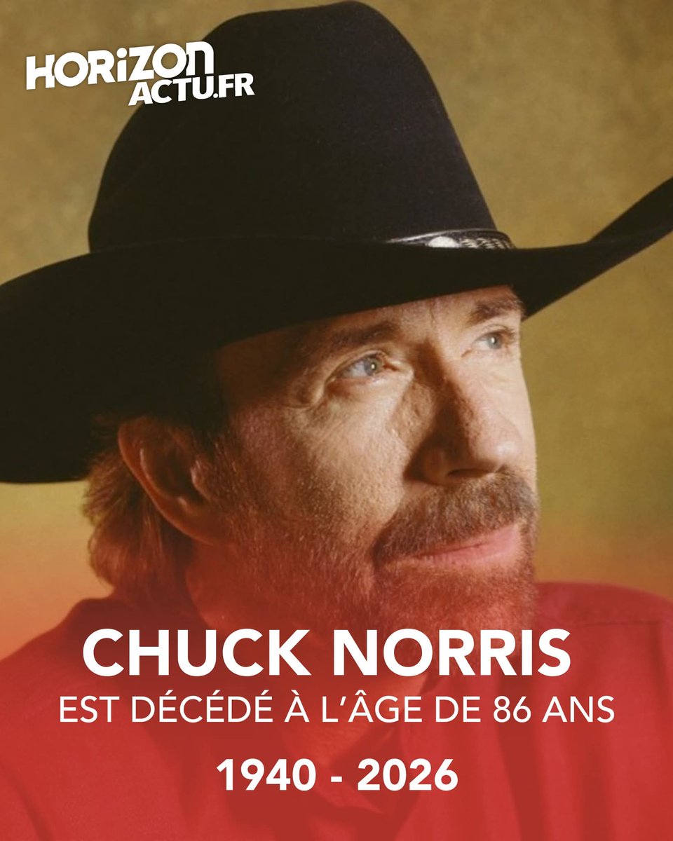 Paul Dohen 🐢🔺🍉 tweet media