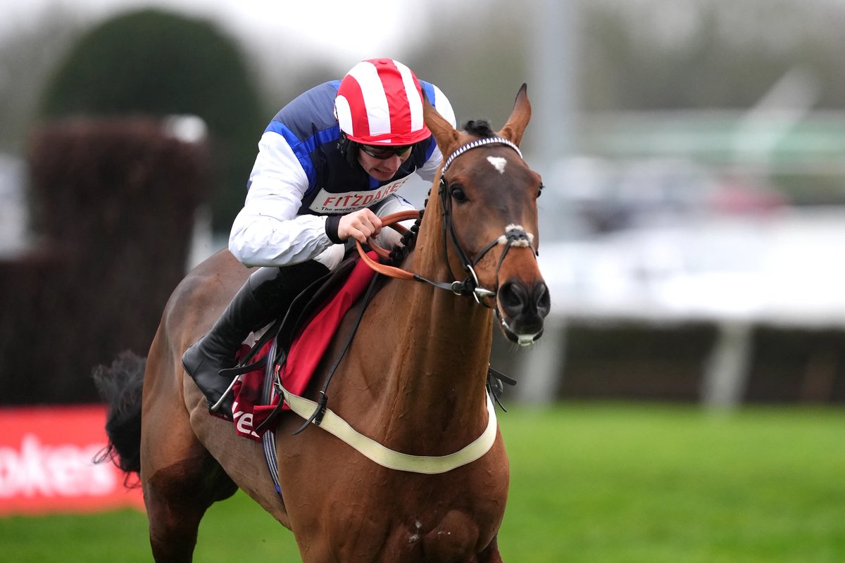 Racing Tips tweet media