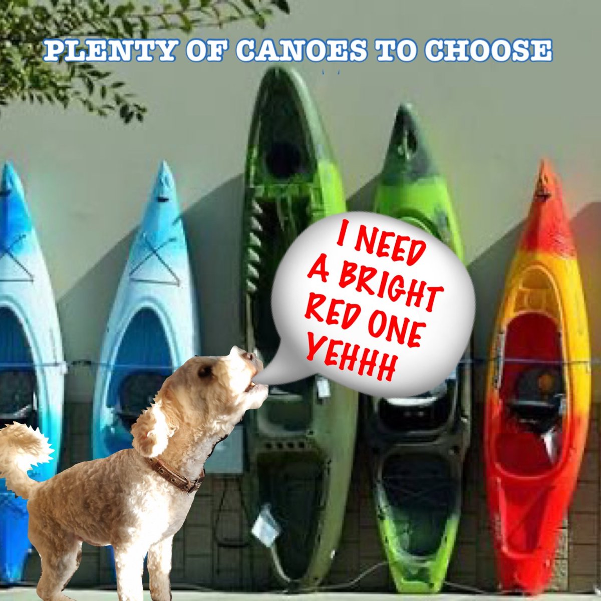 GENERAL BAZZ - GENERAL,LORD BIDDY(ANGEL) tweet media