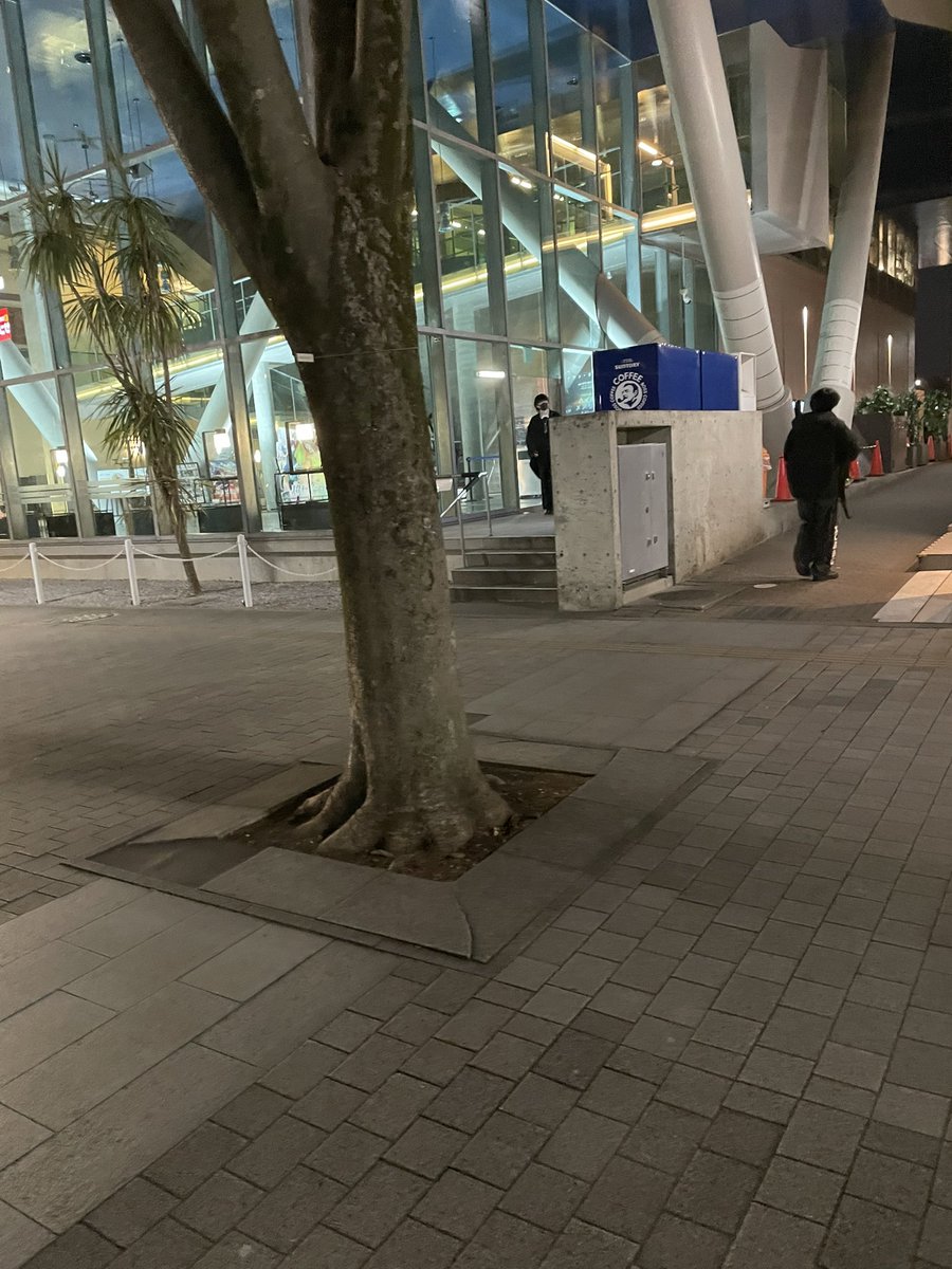 ラァン・ミェイ・郁代・ファンタジスタ tweet media