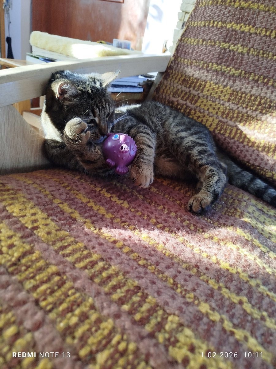 Michalina . tweet media