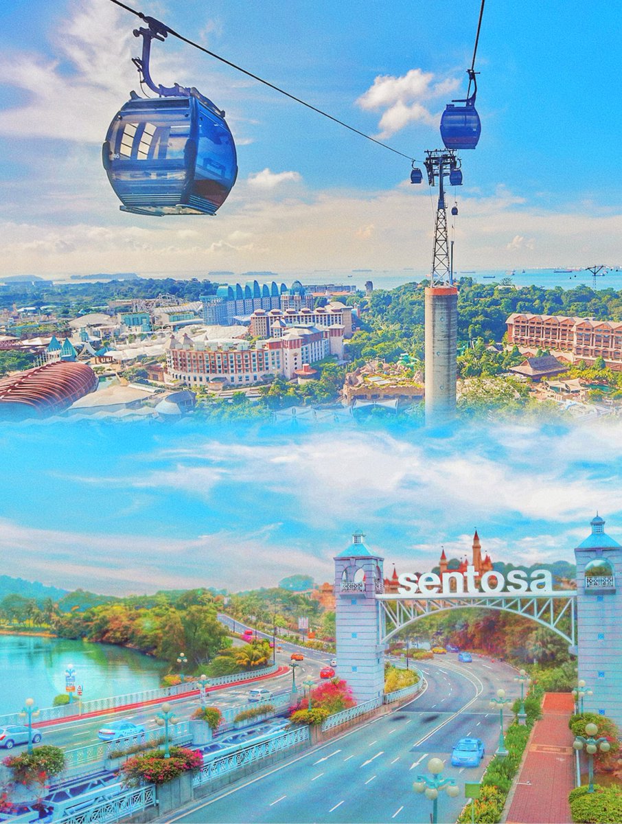 Licania Soriano tweet media