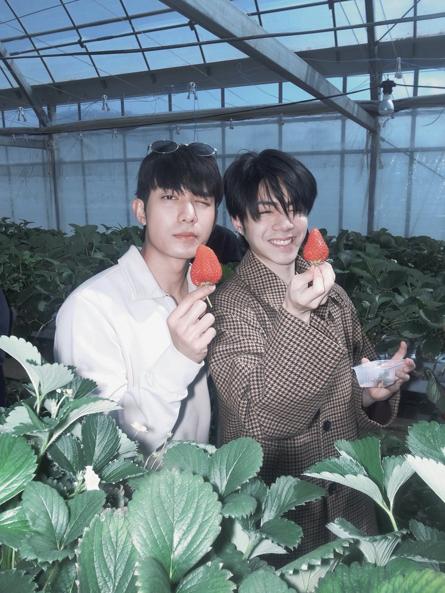 ภพสตอเบอรี่แล้ว อย่าลืมภพเธอนะ ❤️✨

 #DMDChillDayInJapan 
#NETJJ