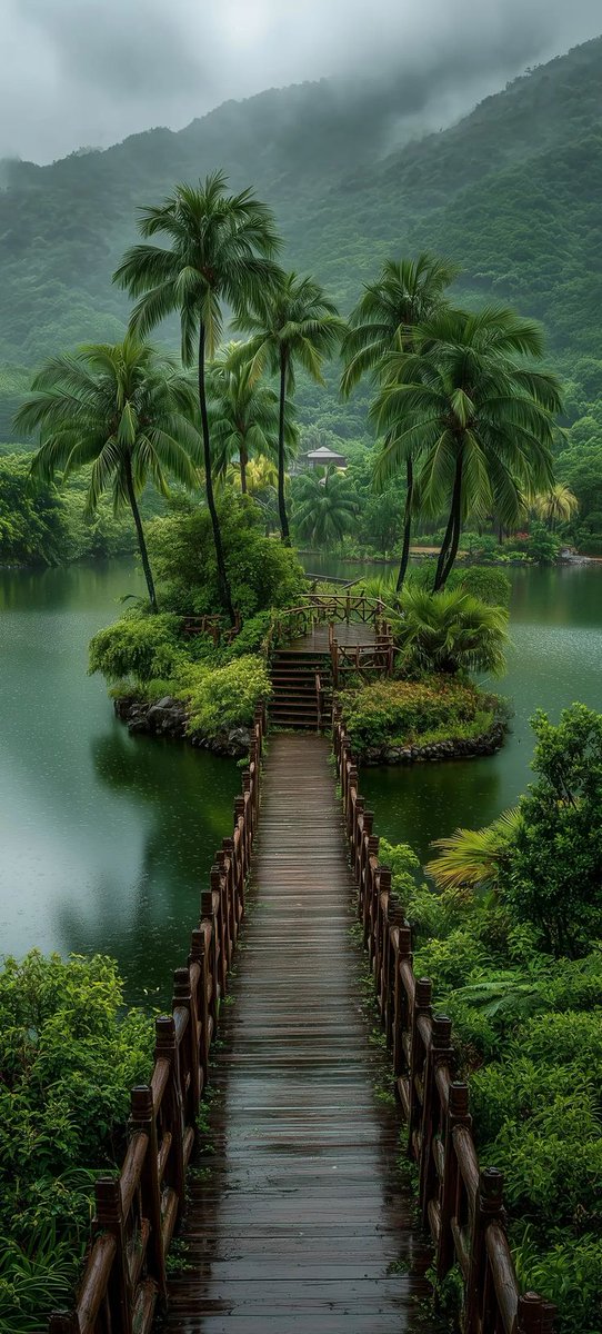 Rainy Nature (@rainy_nature) on Twitter photo 