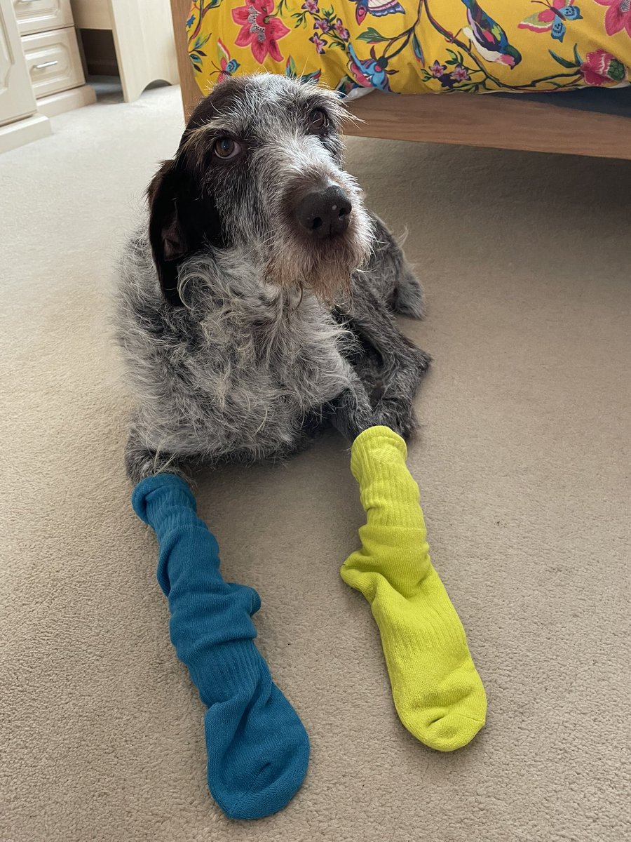 Boo #SaltySeaDog tweet media