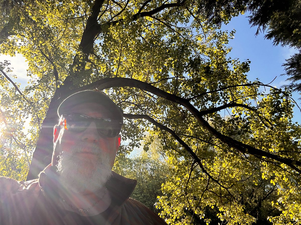 El Hombre Invisible tweet media