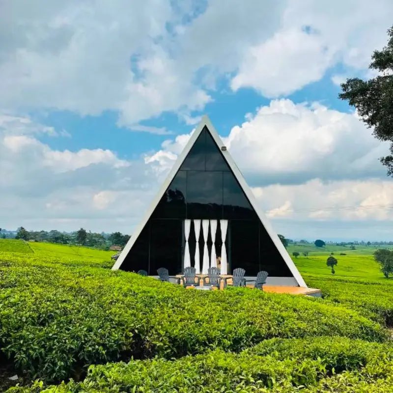 Let’s Discover Travel tweet media