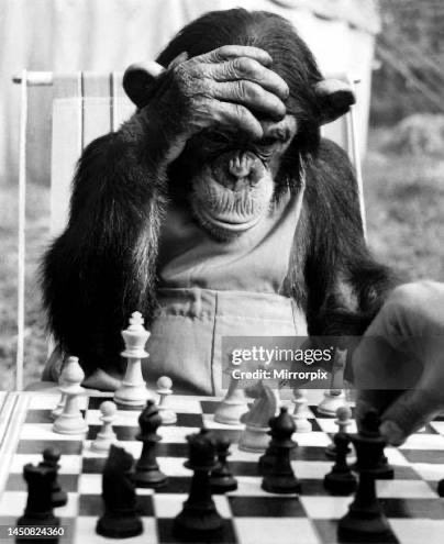 dip 🇳🇵 tweet media