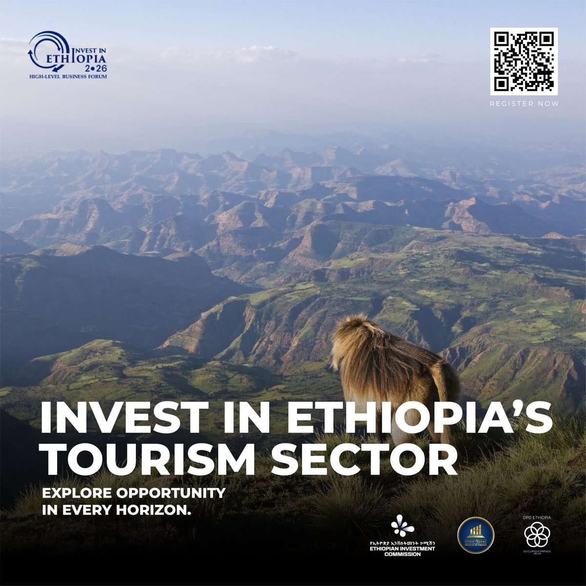 Invest in Ethiopia-HLBF 2026 tweet media