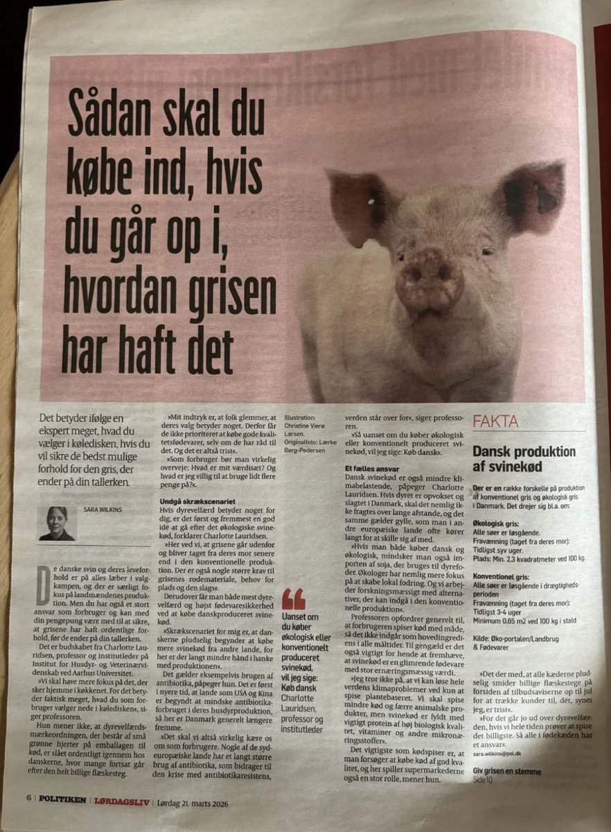 Allan Lindemark tweet media