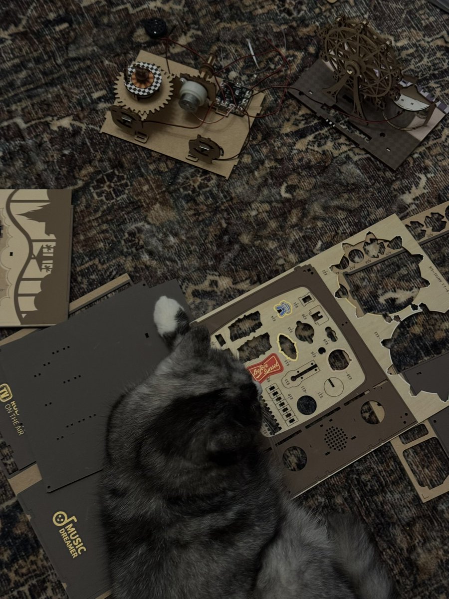 Manar🪄 tweet media