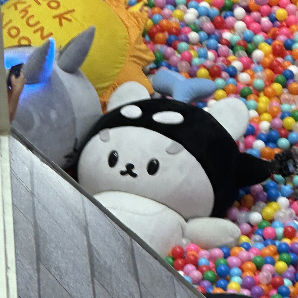 만데🐞 tweet media