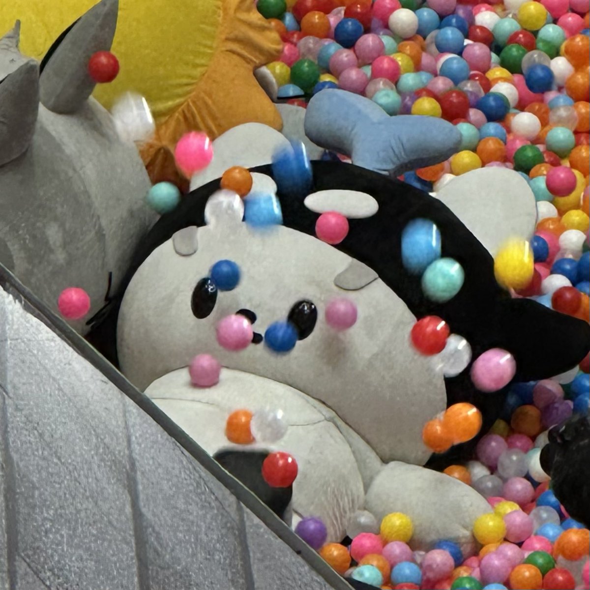 만데🐞 tweet media