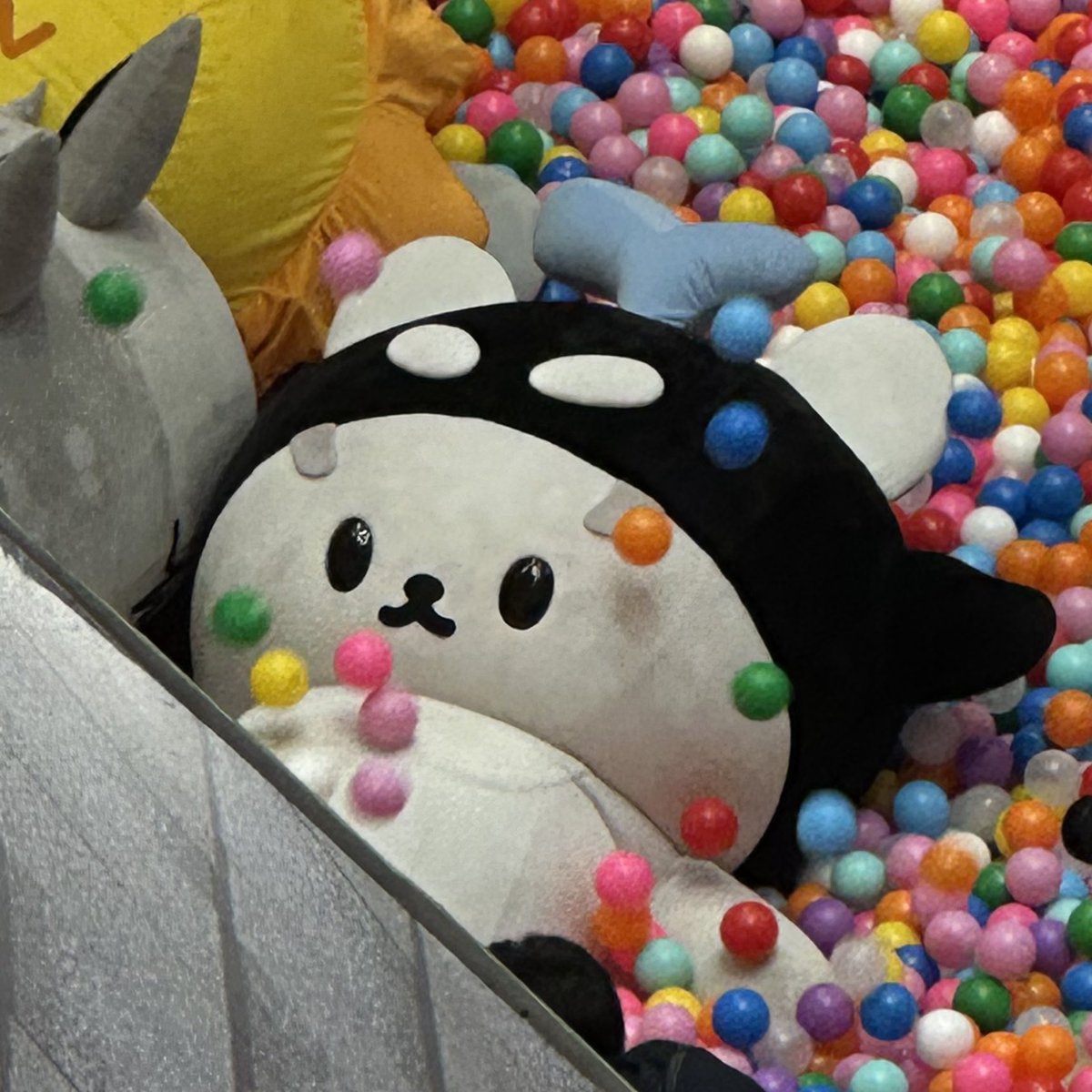 만데🐞 tweet media