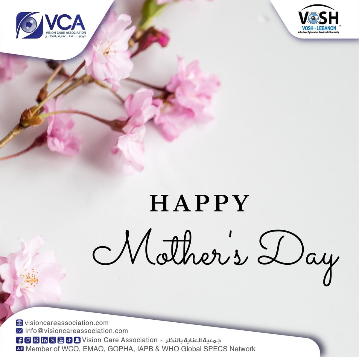 Vision Care Association - جمعية العناية بالنظر tweet media