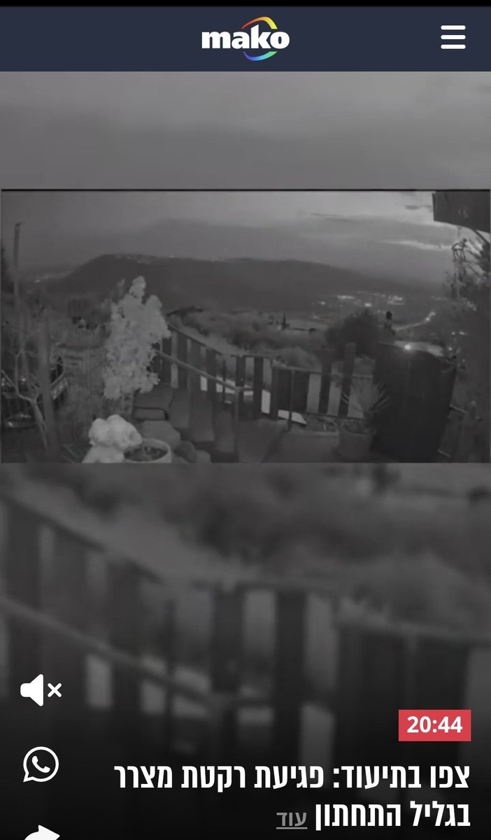 Tal Hagin tweet media