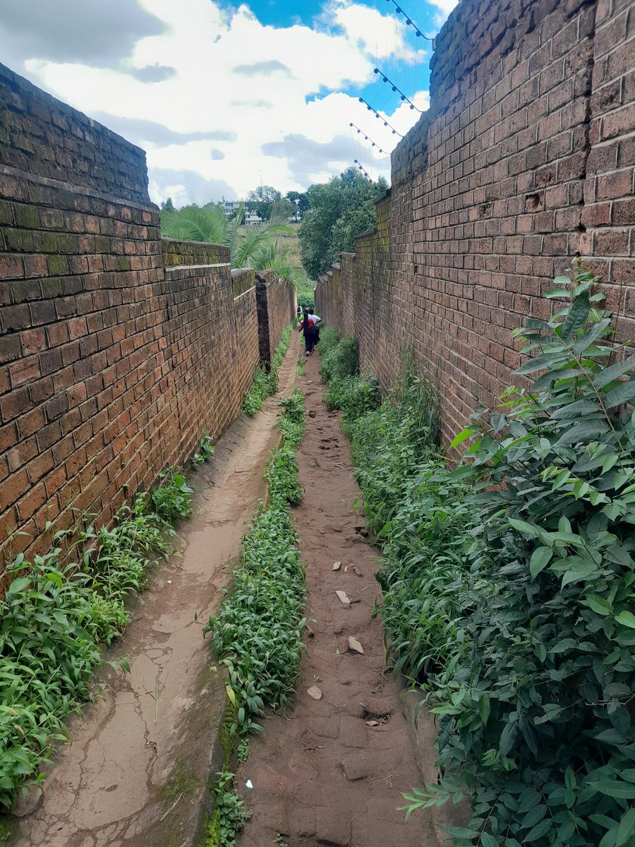 Finale wa pa Poly👍🔥 tweet media