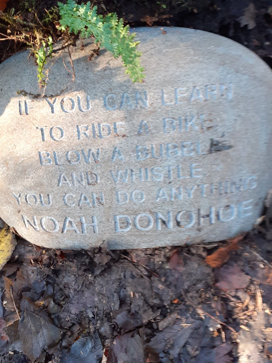 ManusSinead's tweet photo. ‘If you can learn to ride a bike,blow a bubble & whistle you can do anything’
💙NoahDonohoe💙
#TruthForFiona❤️
#JusticeForNoahDonohoe💙 https://t.co/szBjRcdgeY