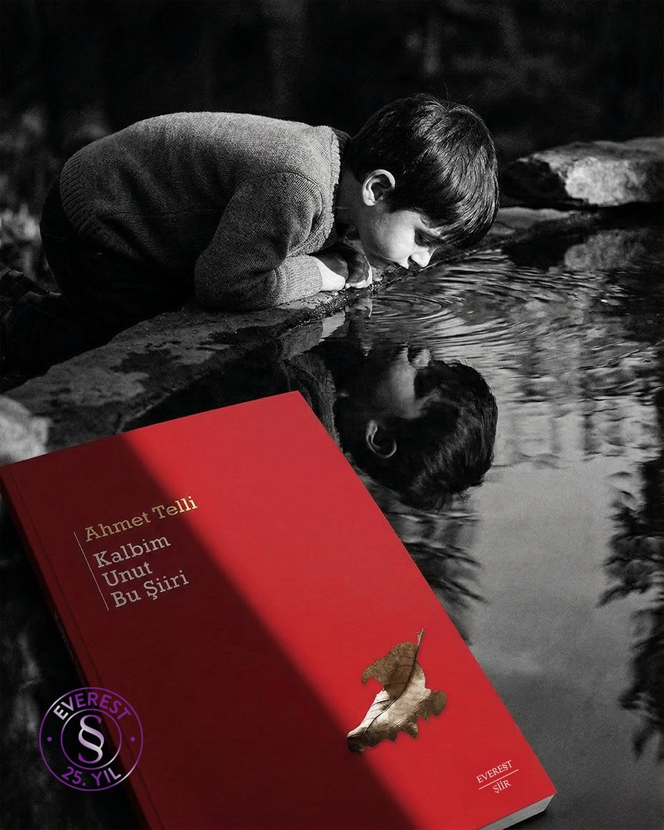 Everest Yayınları tweet media