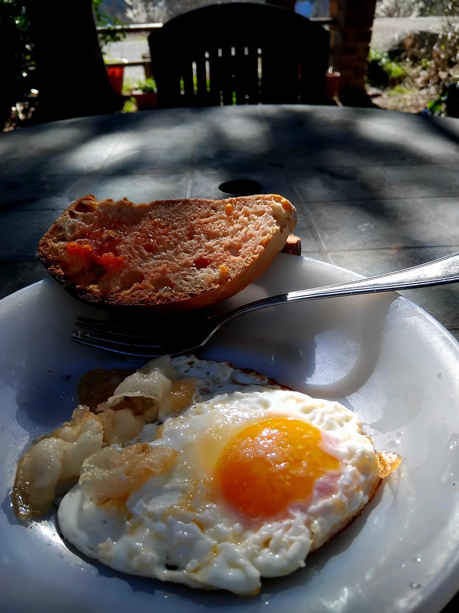 NúriaRIL tweet media