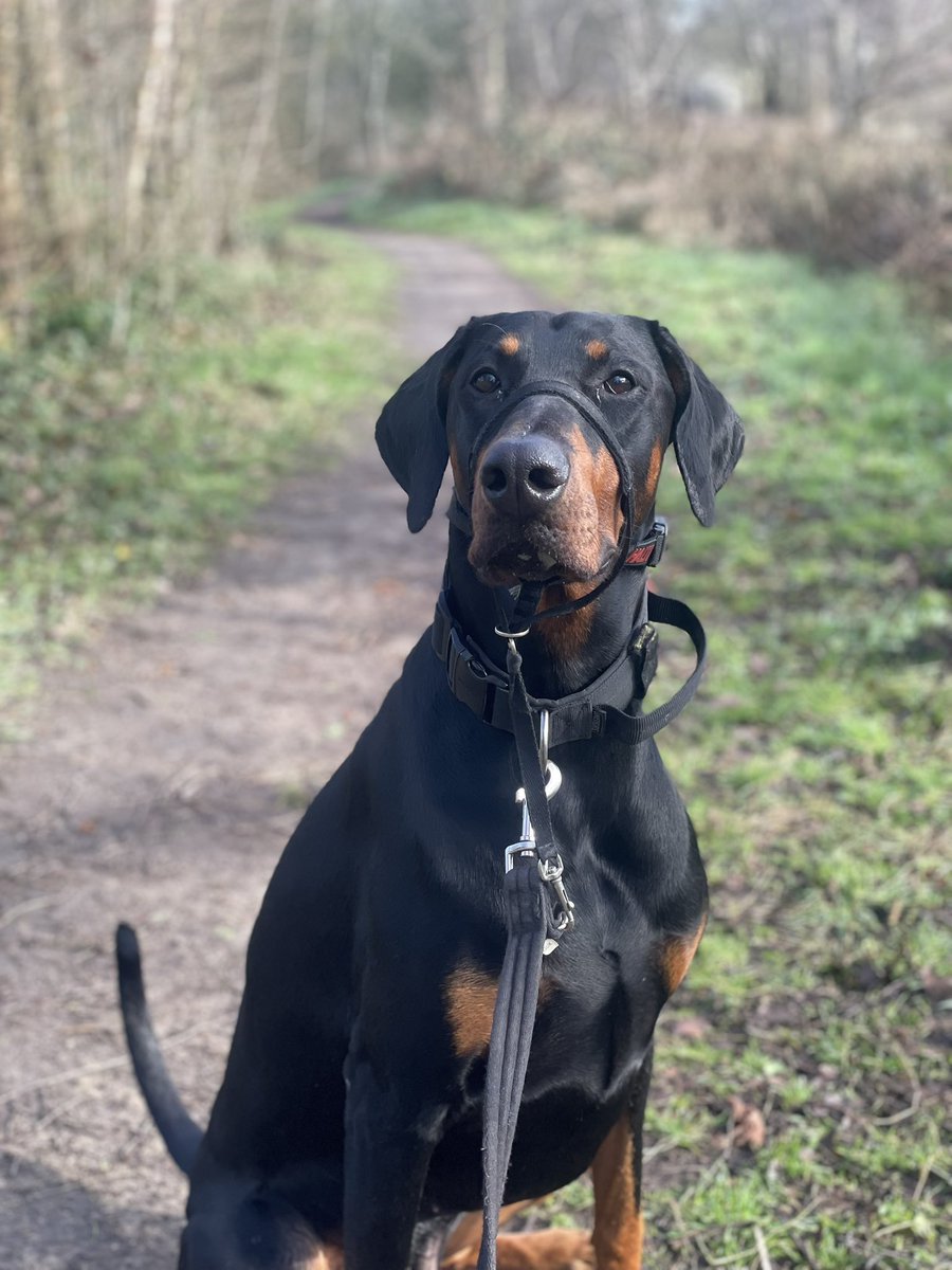 sheilaMol tweet media