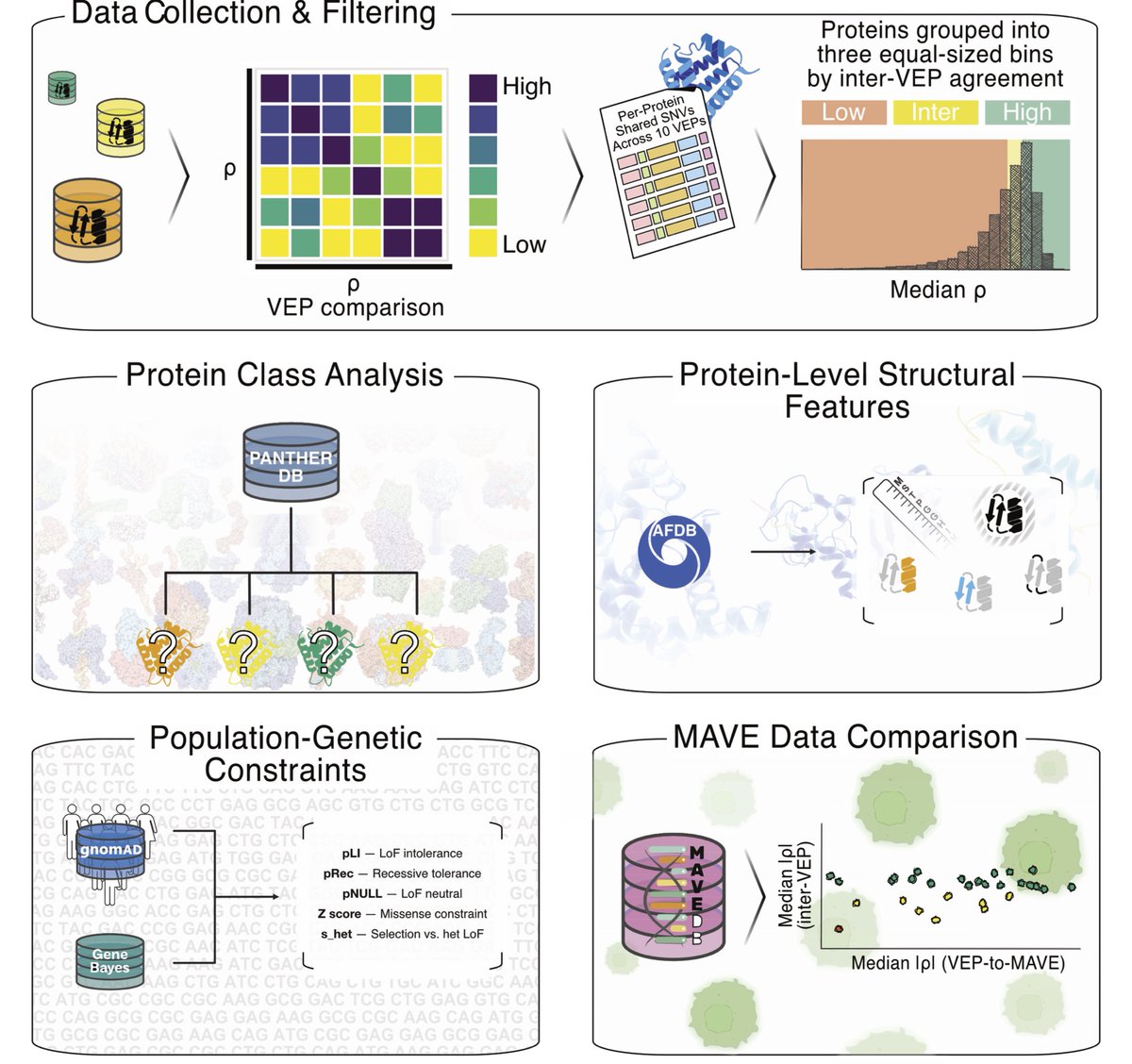 Kresten Lindorff-Larsen tweet media
