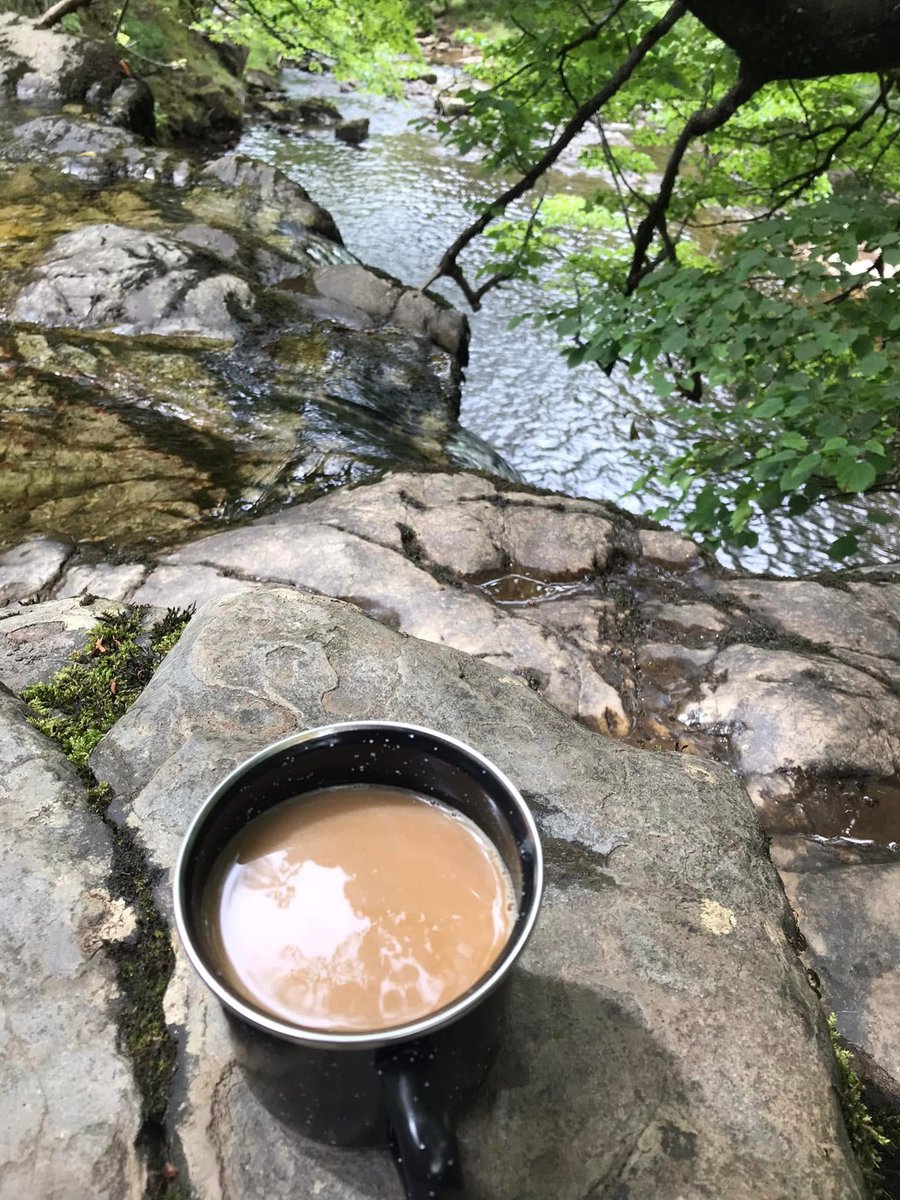 fat girl walking tweet media