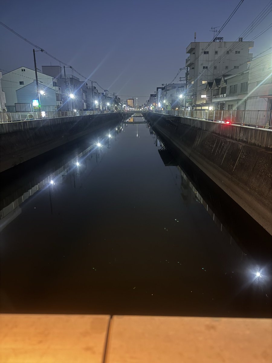 モンゴ tweet media