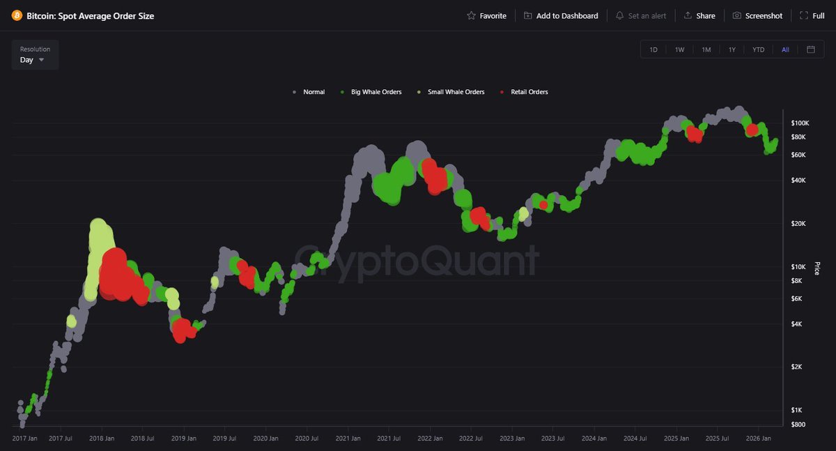 Crypto Rover tweet media
