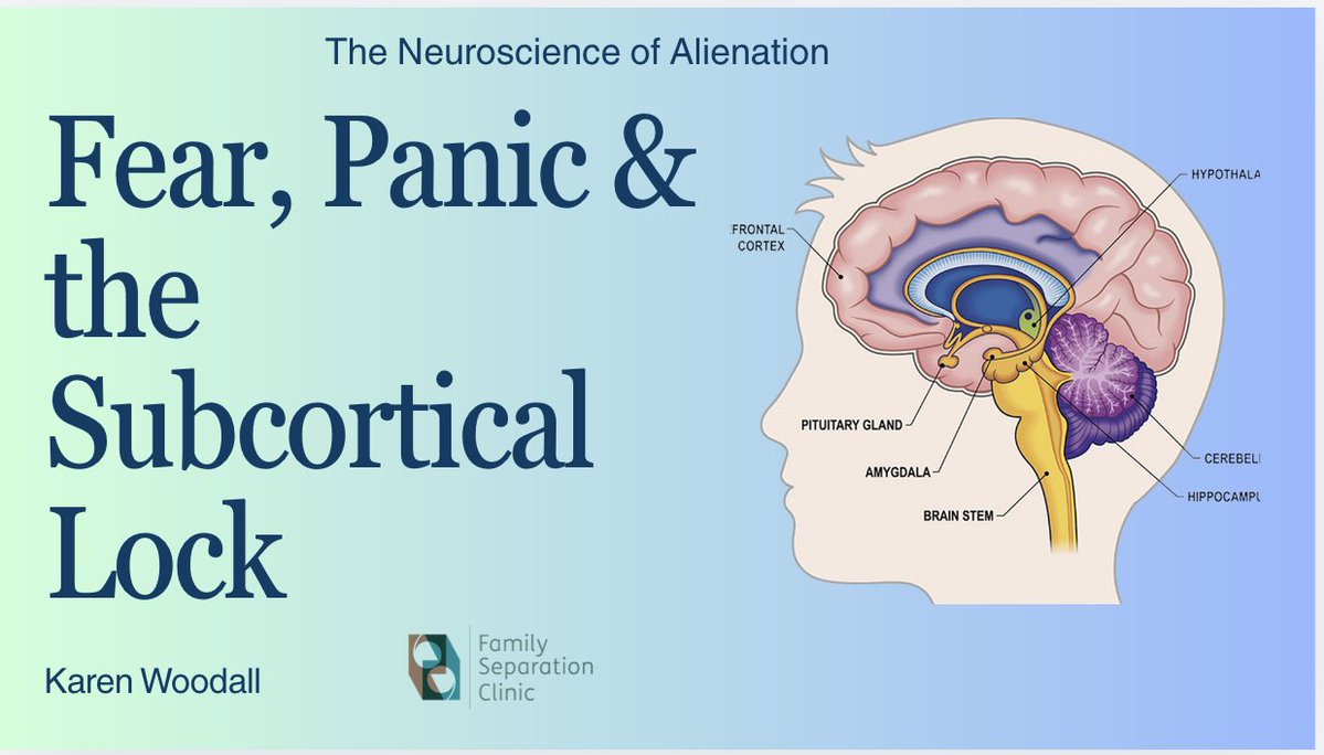 karen woodall tweet media
