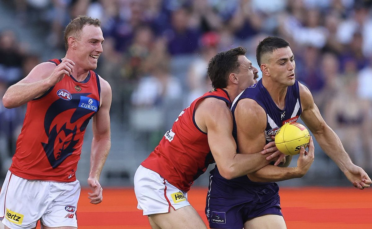 The DeeBrief tweet media