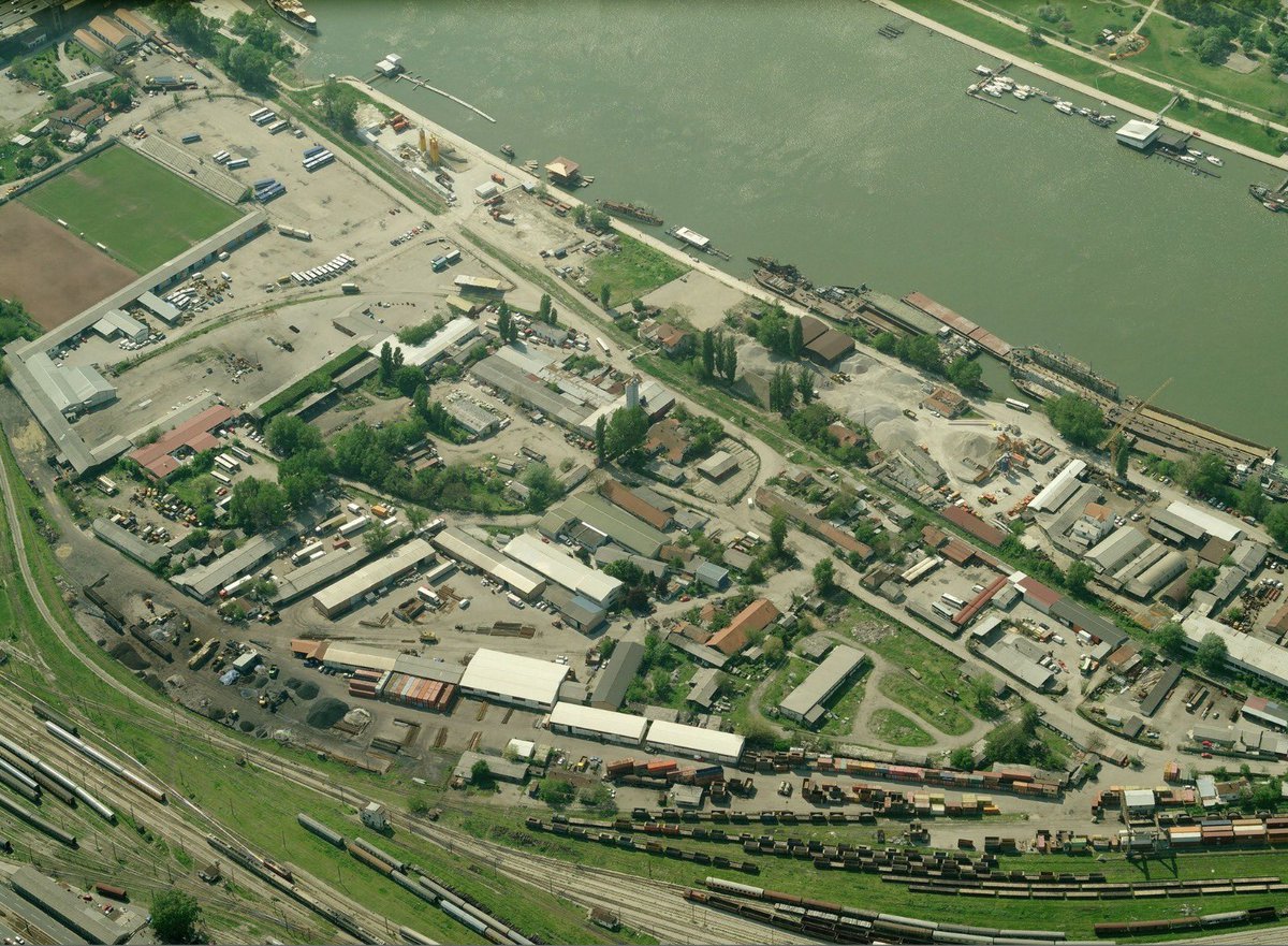 Jovan Simić tweet media