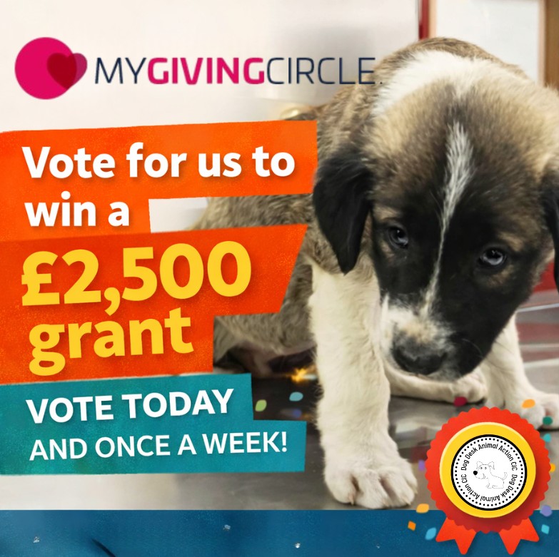 DogDeskAction's tweet photo. We’ve slipped out of 9th place and now need 4️⃣9️⃣9️⃣ votes to climb back in.

There are 1⃣0⃣ days left ⏰

Voting is free and only takes seconds. If you choose to donate, your votes are doubled and every penny helps the dogs.

Please support us ⬇️
 https://t.co/4WdRNs6HqX 🐾 https://t.co/lwryQ9Qo8p