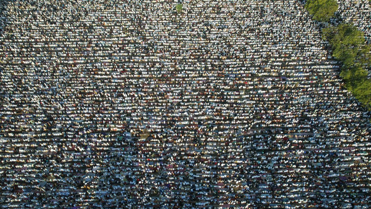 beautiful Arab⁦⁦ tweet media