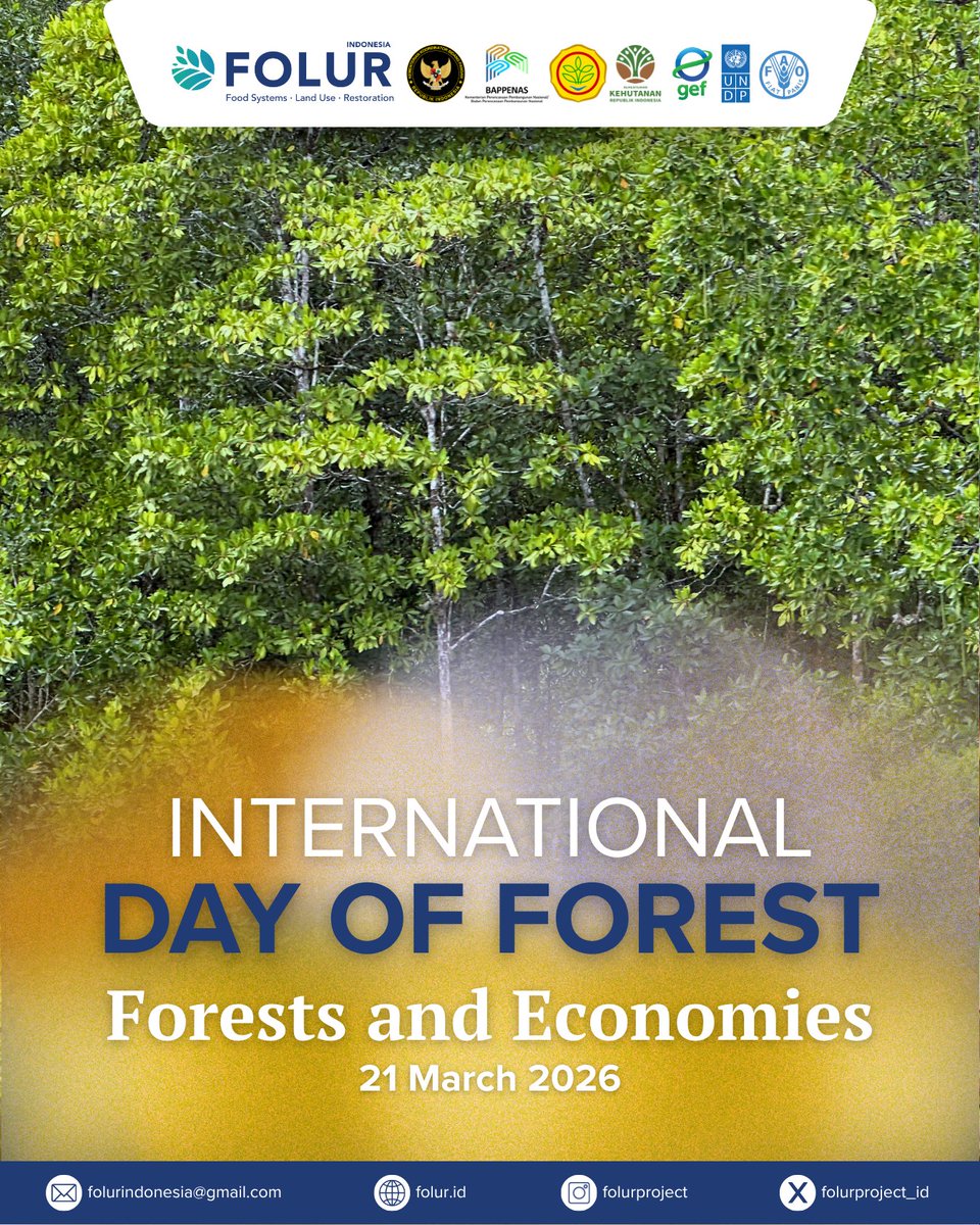 FOLUR INDONESIA tweet media