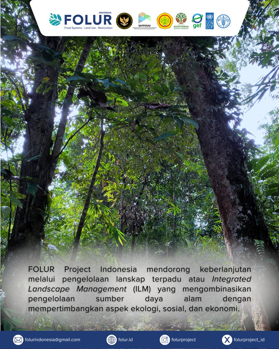 FOLUR INDONESIA tweet media