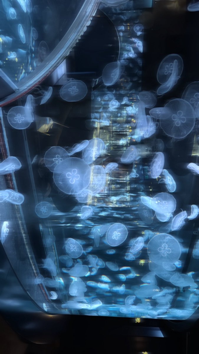 ໒꒱ 𓏸*˚ tweet media