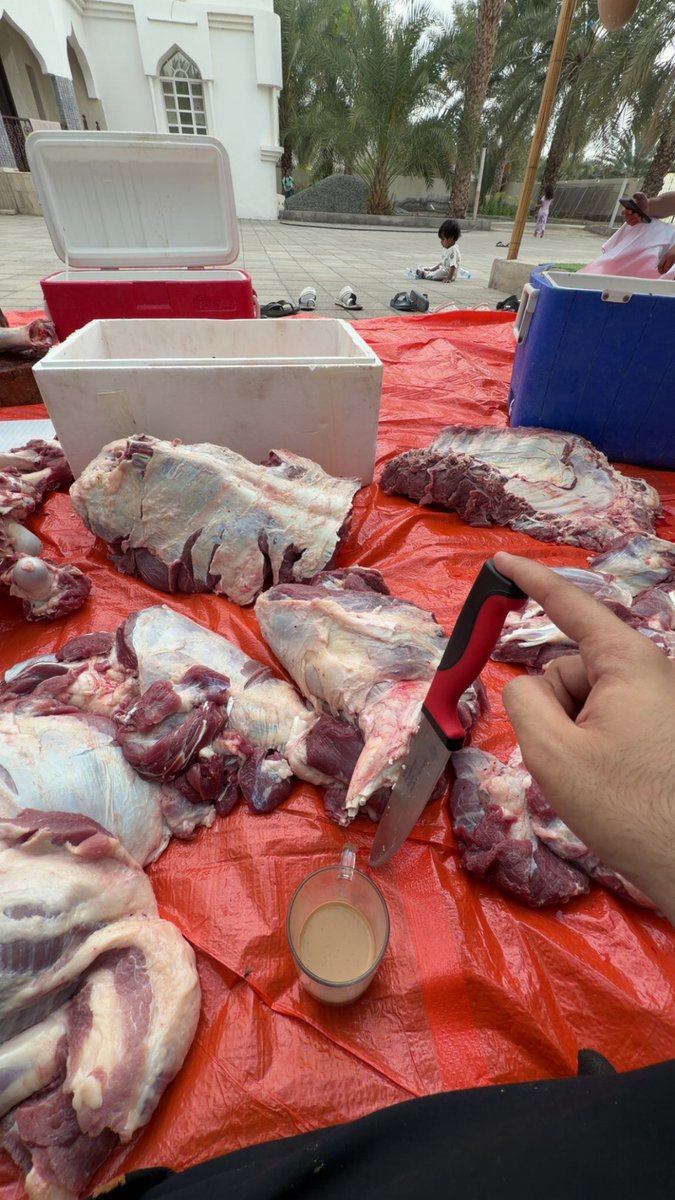 Muaiyad 🐉 tweet media