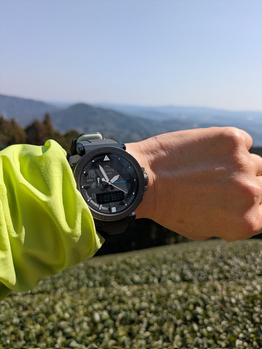 ipapa2018 tweet media