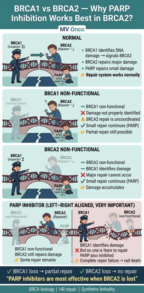 MV Chandrakanth tweet media