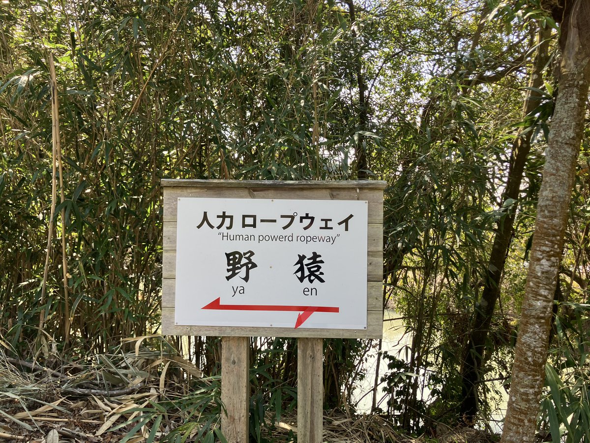 あじっこ📚🏔️資格迷走難民💡🏯 tweet media