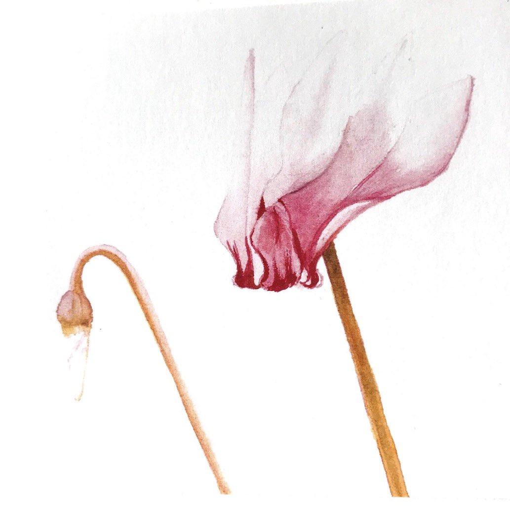 Jan Purves tweet media