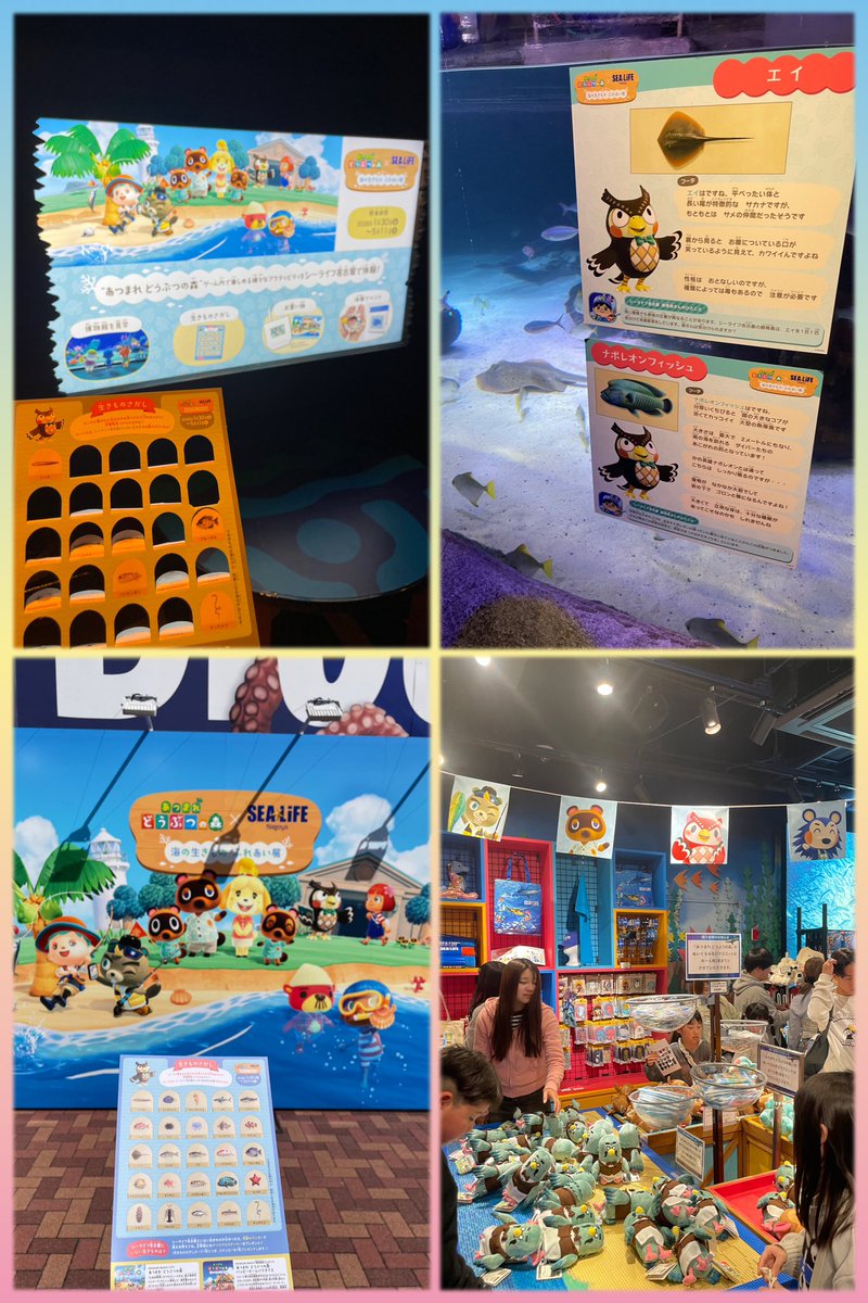 _tobimori__'s tweet photo. 名古屋シーライフ×あつ森コラボ行ってきた〜🐠🪸💗
館内BGMはあつ森ばっか流れてて最高空間でした…❕🥹✨️
フータの説明を見ながら楽しめた🦉🤎
課金の生き物探しもしたけどめちゃ面白かった〜.ᐟ.ᐟ🐟🫧
グッズもどれも可愛すぎて全部爆買いしちゃった…🛍💸笑

 #あつまれどうぶつの森 #シーライフ https://t.co/rNVp15SL2x