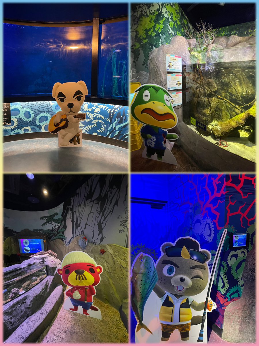_tobimori__'s tweet photo. 名古屋シーライフ×あつ森コラボ行ってきた〜🐠🪸💗
館内BGMはあつ森ばっか流れてて最高空間でした…❕🥹✨️
フータの説明を見ながら楽しめた🦉🤎
課金の生き物探しもしたけどめちゃ面白かった〜.ᐟ.ᐟ🐟🫧
グッズもどれも可愛すぎて全部爆買いしちゃった…🛍💸笑

 #あつまれどうぶつの森 #シーライフ https://t.co/rNVp15SL2x