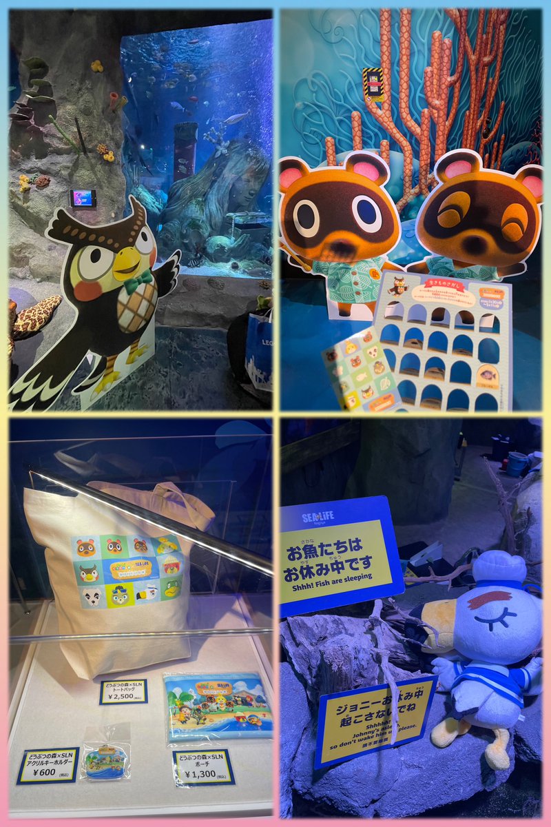 _tobimori__'s tweet photo. 名古屋シーライフ×あつ森コラボ行ってきた〜🐠🪸💗
館内BGMはあつ森ばっか流れてて最高空間でした…❕🥹✨️
フータの説明を見ながら楽しめた🦉🤎
課金の生き物探しもしたけどめちゃ面白かった〜.ᐟ.ᐟ🐟🫧
グッズもどれも可愛すぎて全部爆買いしちゃった…🛍💸笑

 #あつまれどうぶつの森 #シーライフ https://t.co/rNVp15SL2x