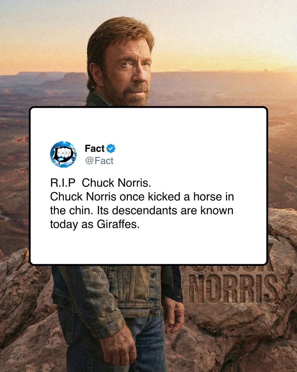 Dad Jokes tweet media