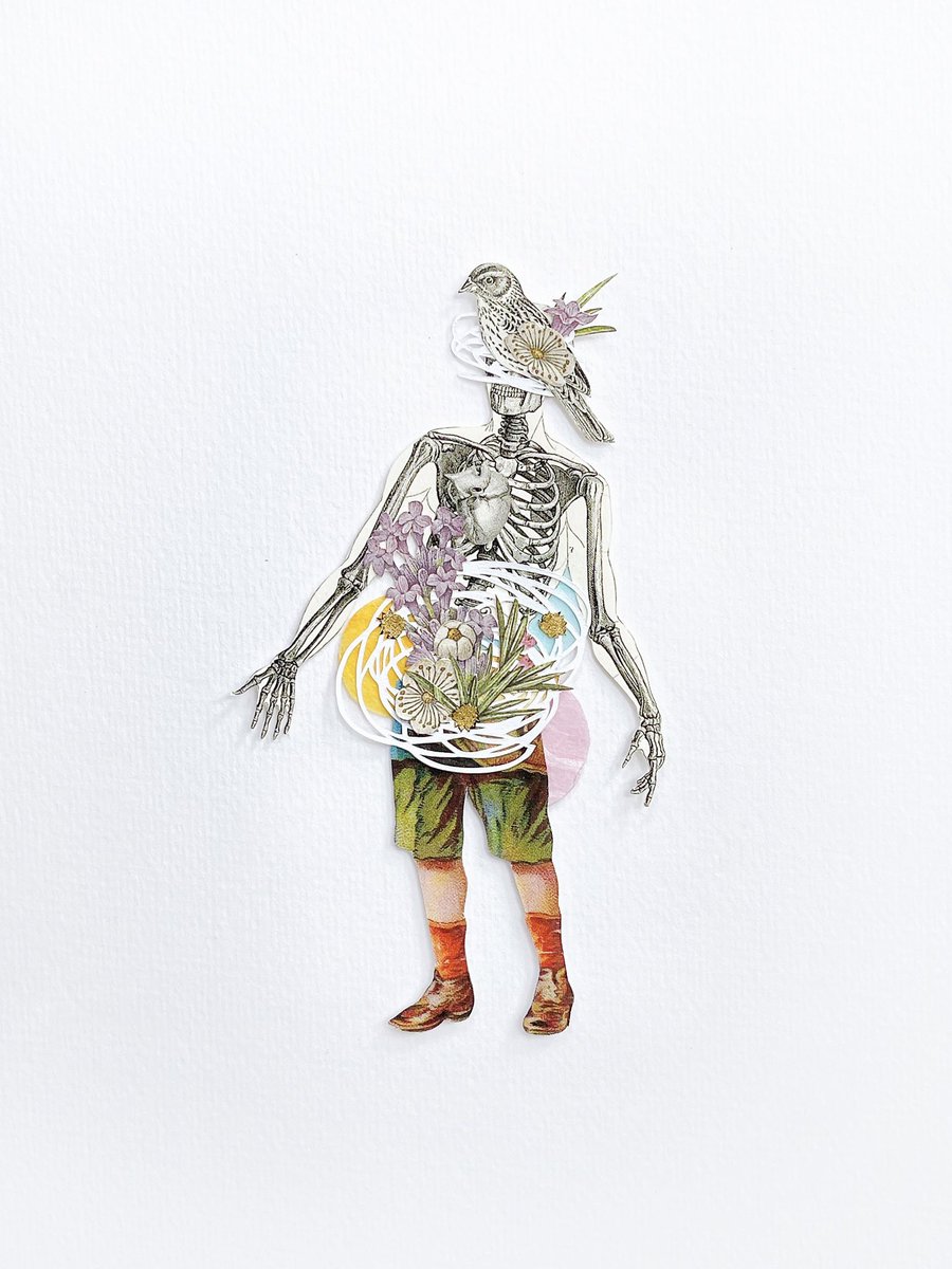 COLLAGECANTO tweet media