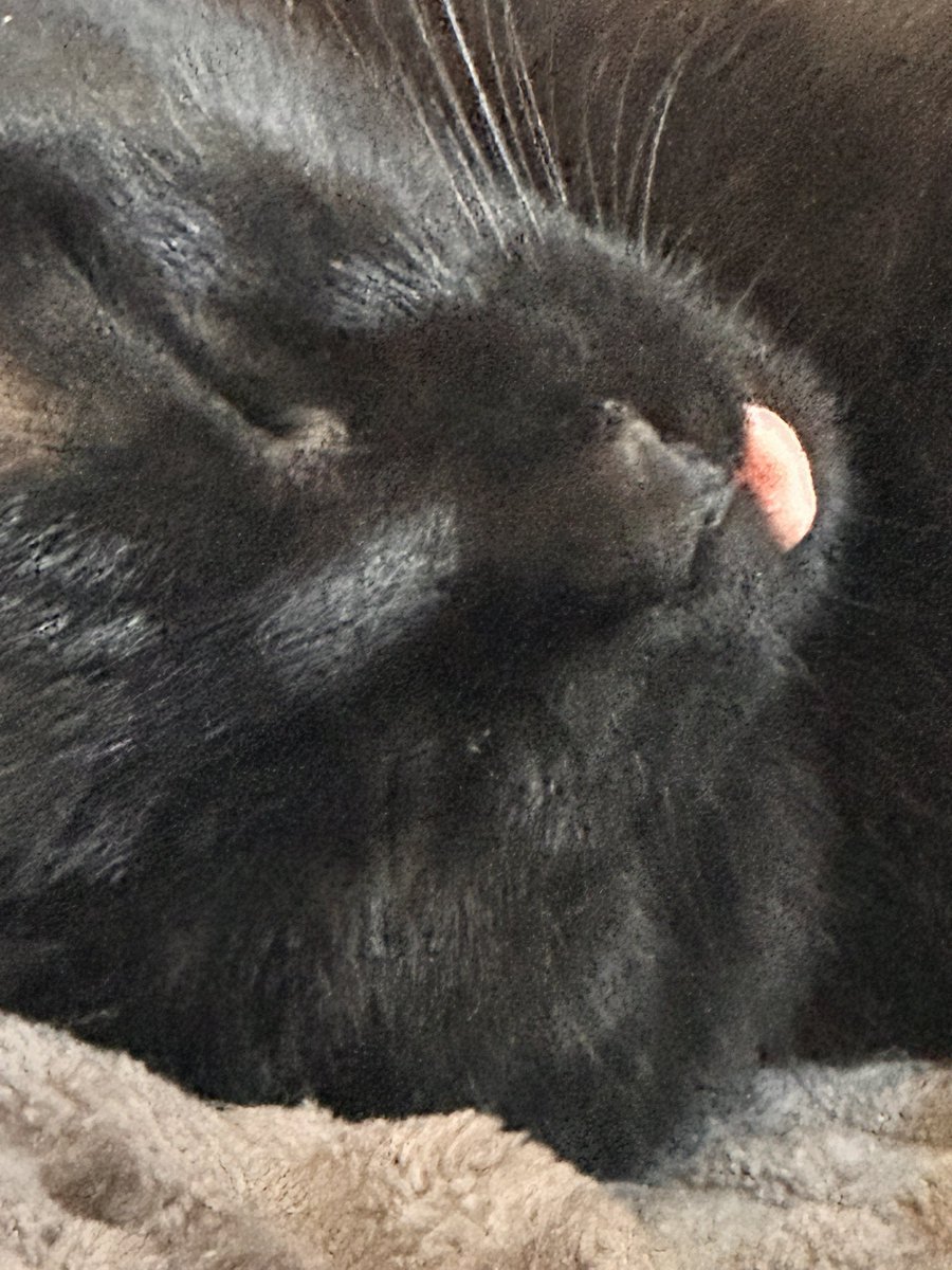 ФОП Alexis Polux tweet media